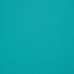 Punto Felpa Fino Turquesa - Ribes y Casals