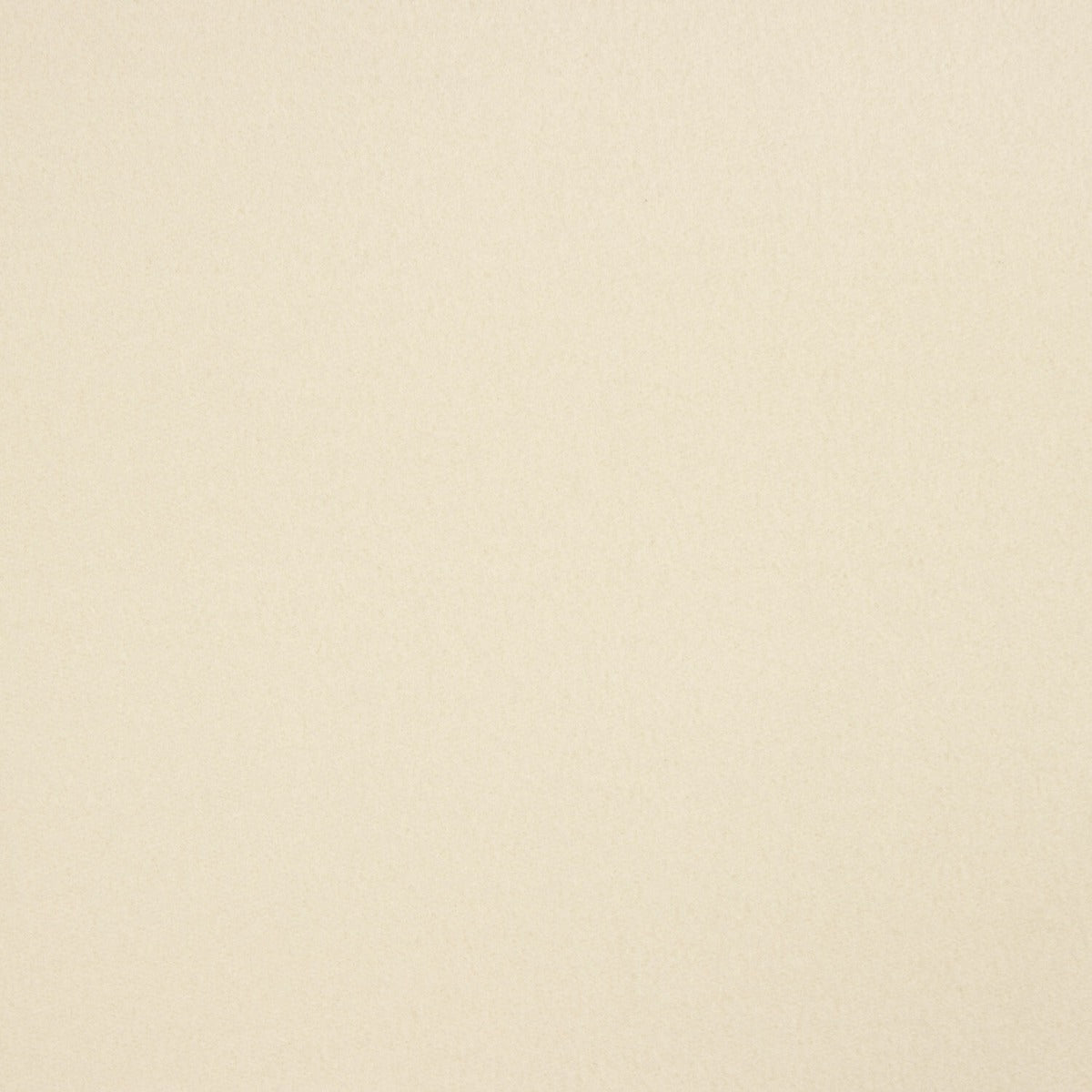 Punto Felpa Perchado Piedra - Ribes y Casals