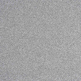 Punto Lamé Brillo Plata - Ribes y Casals