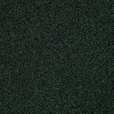 Punto Lamé Brillo Verde - Ribes y Casals