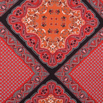 Punto Paisley Patch Terracota - Ribes y Casals