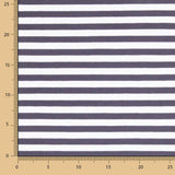 Punto Rayado Maxi Gris Azulado - Ribes y Casals