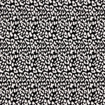 Punto Viscosa Wild Negro - Ribes y Casals