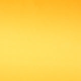 Raso Moda Amarillo - Ribes y Casals