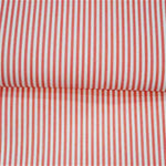 Raya Rojo 3mm - Ribes y Casals