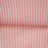 Raya Rojo 3mm - Ribes y Casals