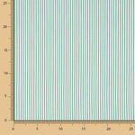 Raya Vichy Verde Mini - Ribes y Casals