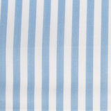 Rayas Vichy Celeste 6mm - Ribes y Casals