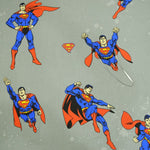 Sabana Superman - Ribes y Casals