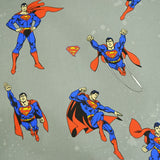 Sabana Superman - Ribes y Casals