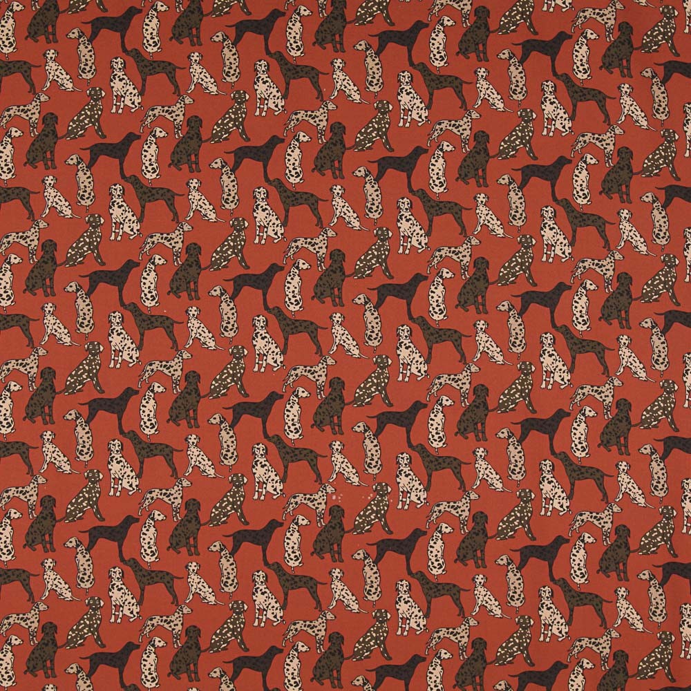 Sarga Algodón Dogs Caramelo - Ribes y Casals