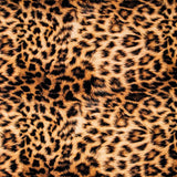 Sarga Algodón Leopardo - Ribes y Casals