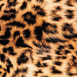 Sarga Algodón Leopardo - Ribes y Casals