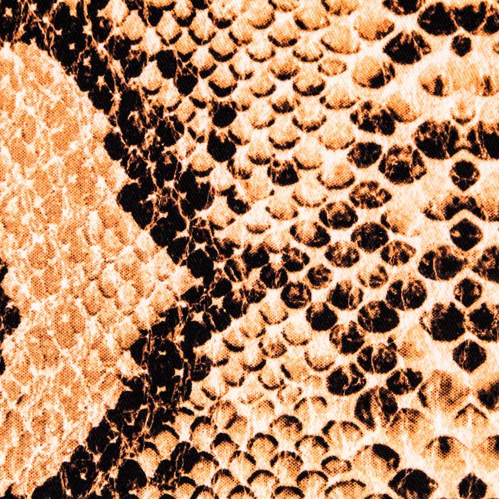 Sarga Algodón Snake - Ribes y Casals