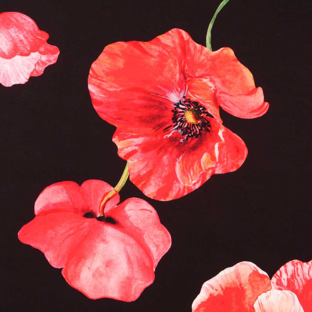 Sarga Bielástica Amapola Negra - Ribes y Casals