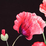 Sarga Bielástica Amapola Negra - Ribes y Casals