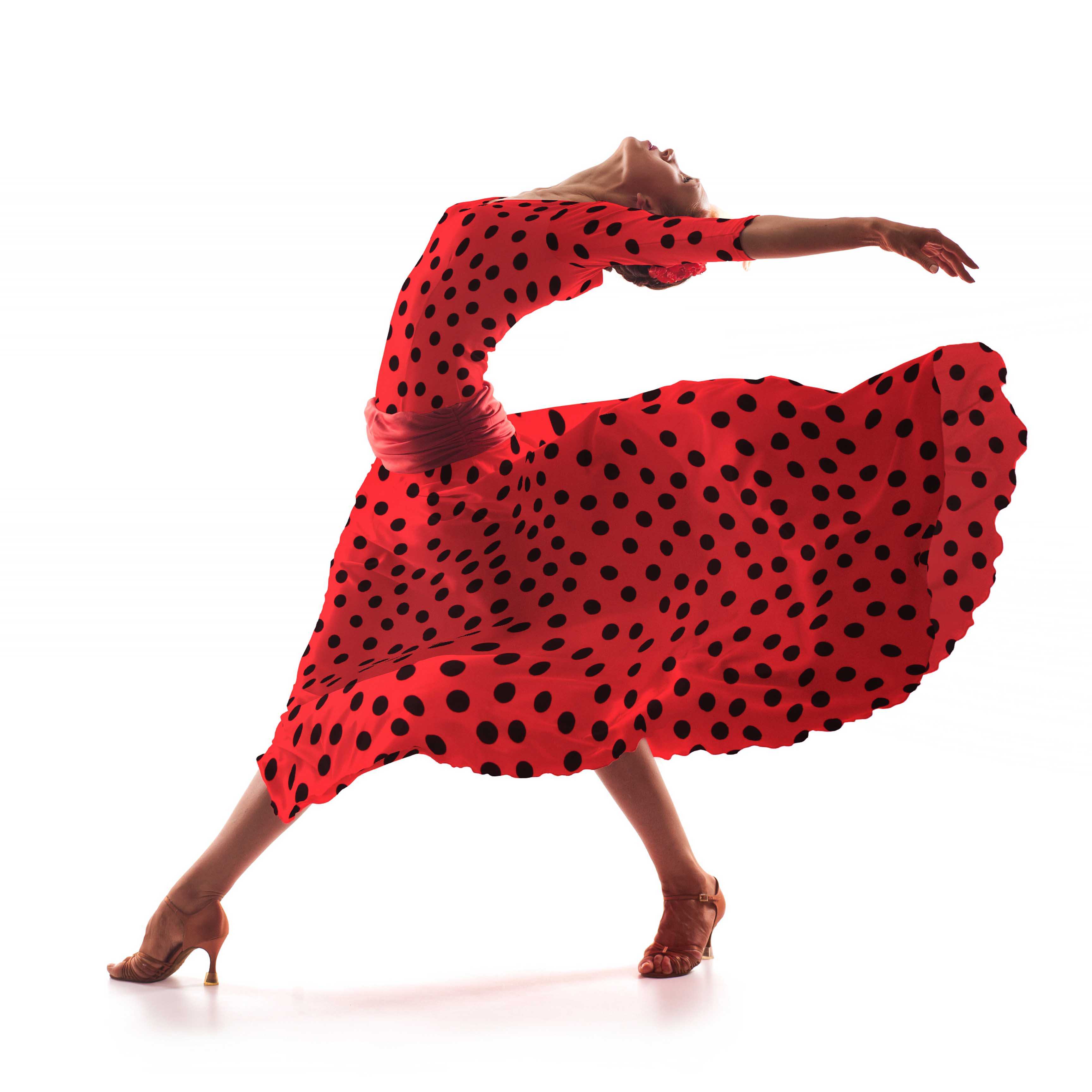 Sarga Bielástica Lunares Rojo 25mm - Ribes y Casals