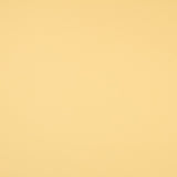 Sarga Elástica Amarilla - Ribes y Casals