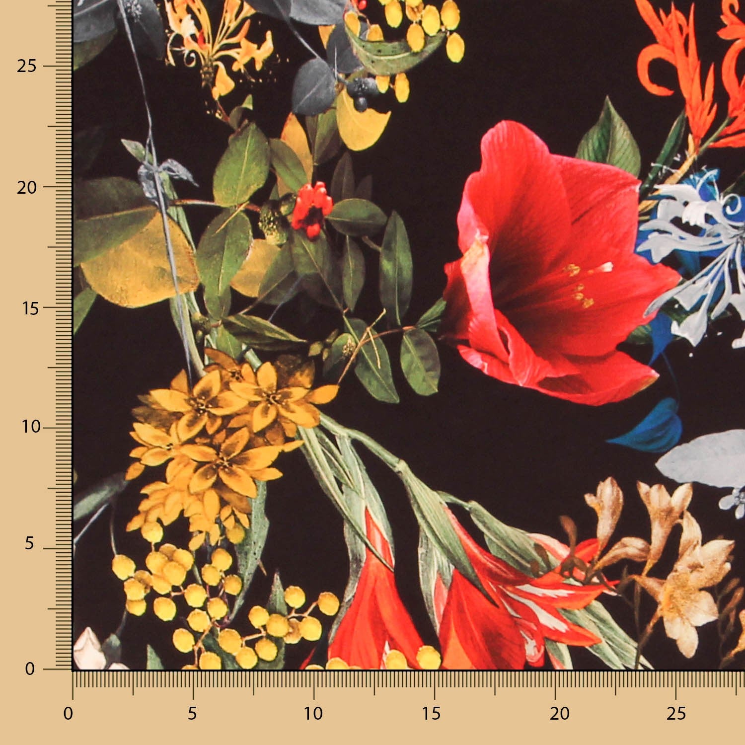 Bielástico Sauvage Negra - Ribes y Casals