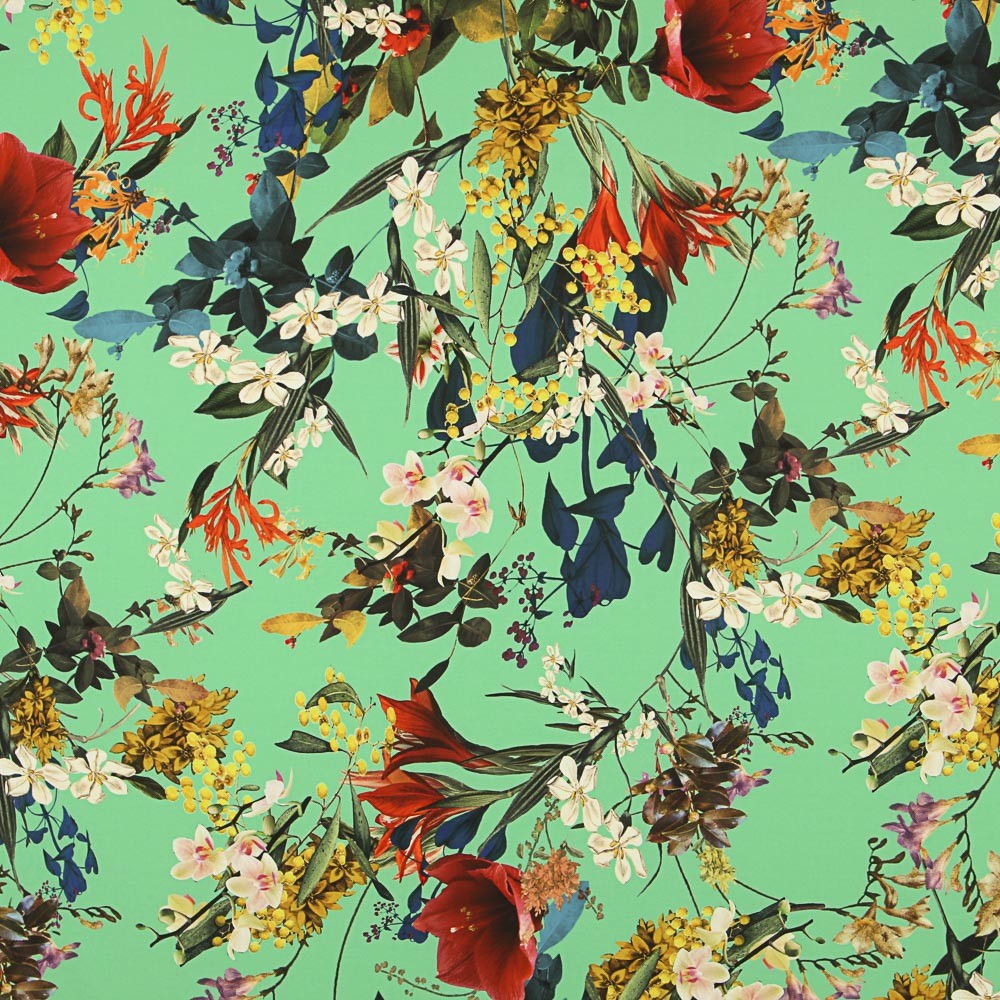 Bielástico Sauvage Verde Menta - Ribes y Casals