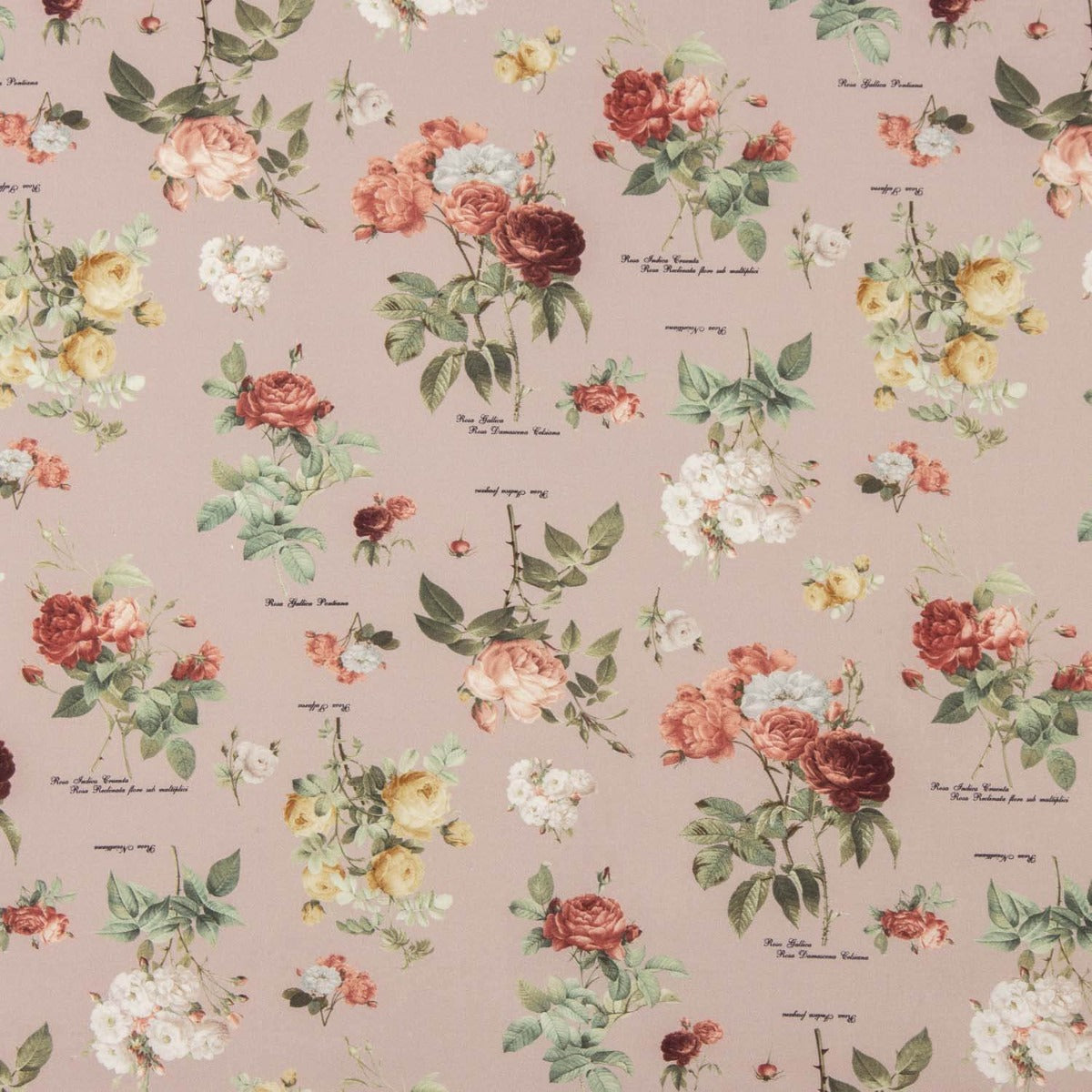 Sarga Fina Rosa Vintage - Ribes y Casals