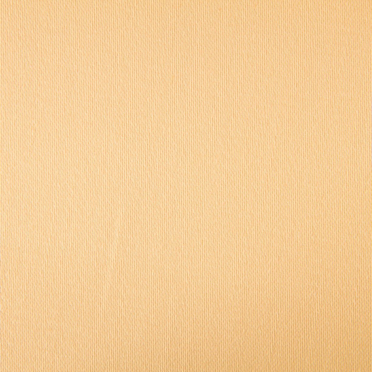 Satén Algodón Crudo - Ribes y Casals