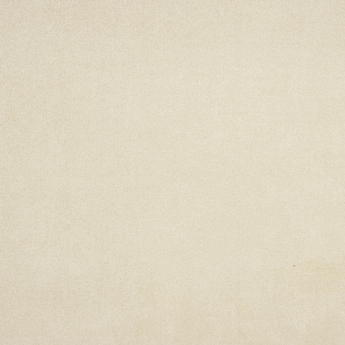 Scuba Antelina Beige - Ribes y Casals