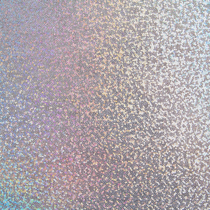 Shine Holograph Plata - Ribes y Casals