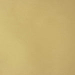 Tafetán Liso Beige - Ribes y Casals