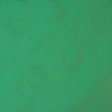 Tafetán Liso Verde - Ribes y Casals