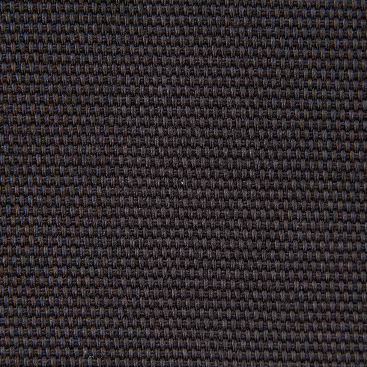 Tapicería Algodón Negro - Ribes y Casals