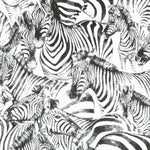 Tapicería Jacquard África - Ribes y Casals