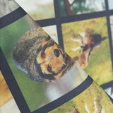 Popelín Estampado Original Dogs - Ribes y Casals