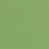 Tela Bielástica Verde Claro - Ribes y Casals