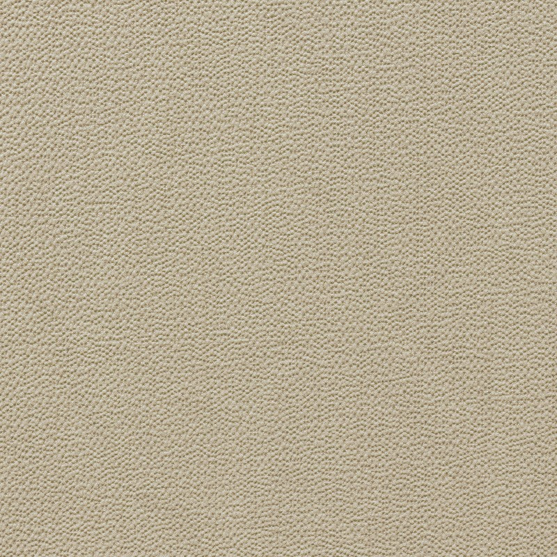 Tela Crepe Marrocain Beige - Ribes y Casals