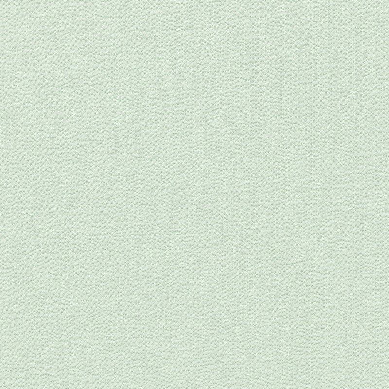 Tela Crepe Marrocain Verde Claro - Ribes y Casals