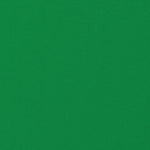 Tela de Gasa de Poliéster Verde Manzana - Ribes y Casals