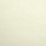 Polipiel Cruda - Ribes y Casals