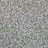 Tela Estampada Algodón Flor Lavanda - Ribes y Casals