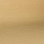 Tela Foamizada Tapicería Coches Beige - Ribes y Casals