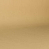 Tela Foamizada Tapicería Coches Beige - Ribes y Casals