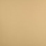 Tela Foamizada Tapicería Coches Beige - Ribes y Casals