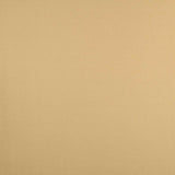 Tela Foamizada Tapicería Coches Beige - Ribes y Casals