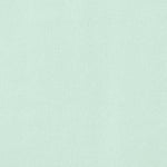 Tela Georgette Verde Agua - Ribes y Casals