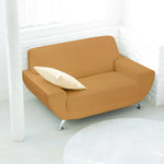 Loneta Camel - Ribes y Casals