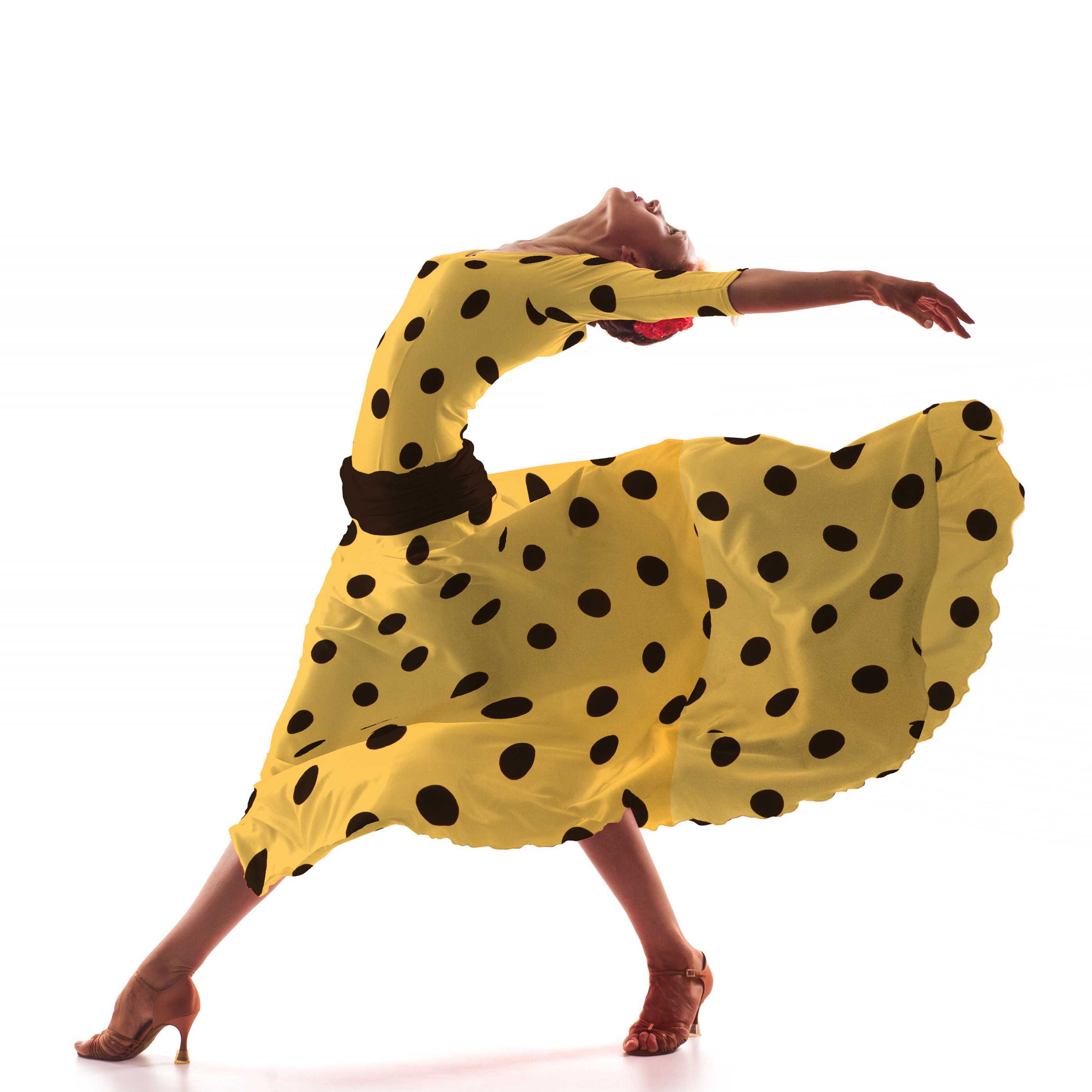 Tela Lunares Negro 55mm Albero - Ribes y Casals