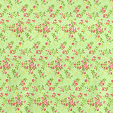 Tela Lycra Estampada Flores Fondo Pistacho - Ribes y Casals