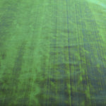 Tela Nácar Verde - Ribes y Casals