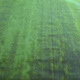 Tela Nácar Verde - Ribes y Casals