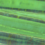 Tela Nácar Verde - Ribes y Casals